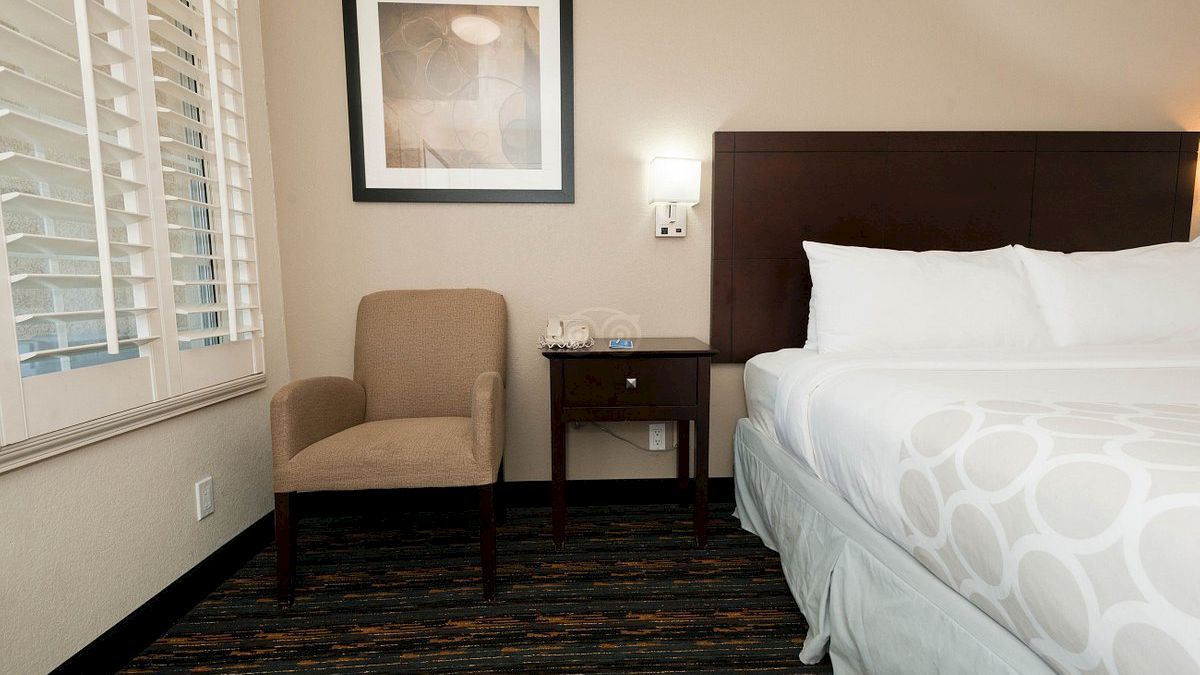 A tidy hotel room with a queen bed, side table, armchair, framed wall art, and daylight through window blinds.
